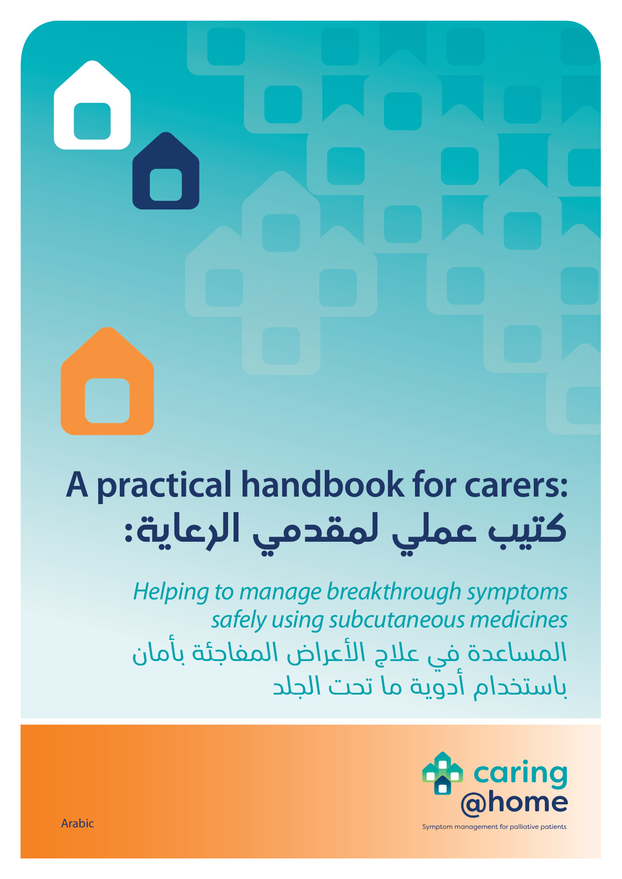 Thumbnail of Practical handbook for carers