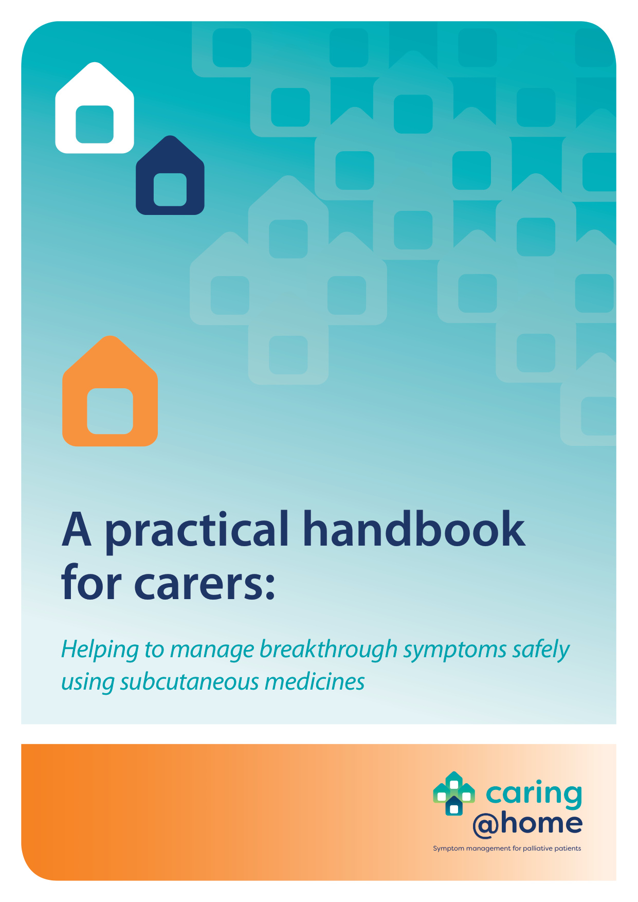 Thumbnail of Practical handbook for carers