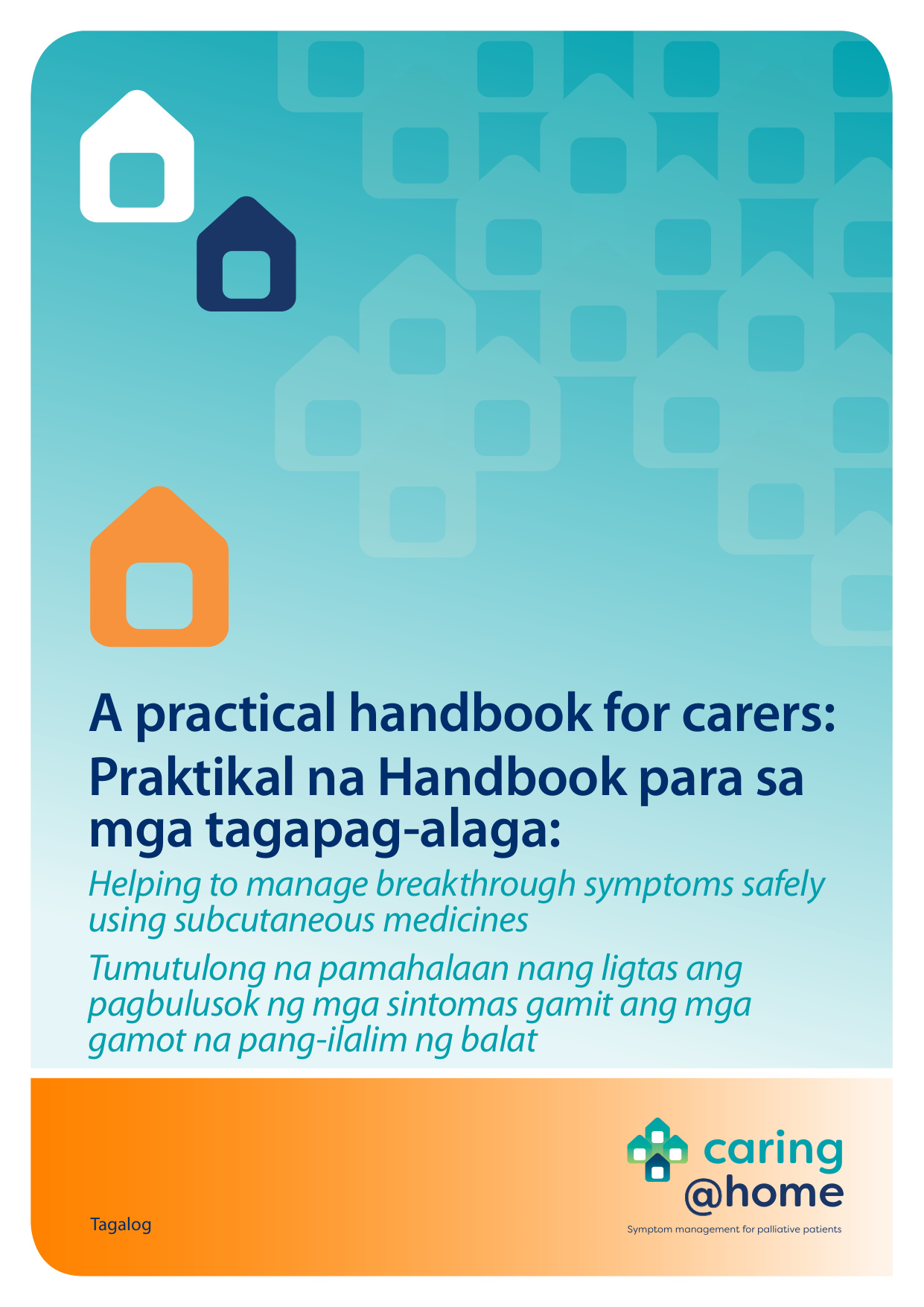 Thumbnail of Practical handbook for carers