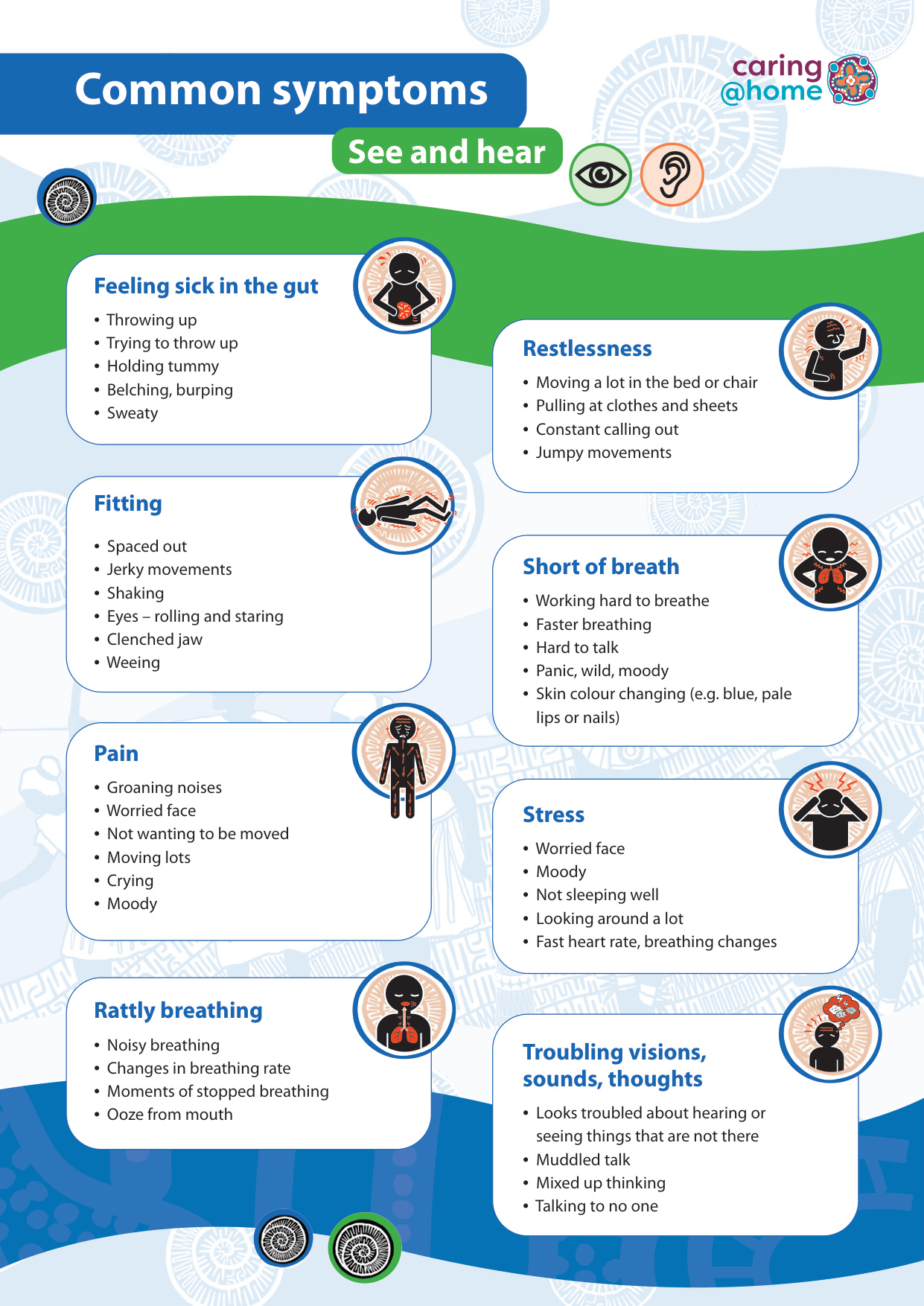 Thumbnail of Tip Sheet - Common symptoms (for Torres Strait Islander families)